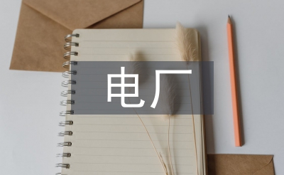 电厂练习使命总结