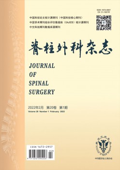 脊柱内科杂志