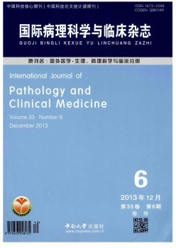 国际病理迷信与临床杂志